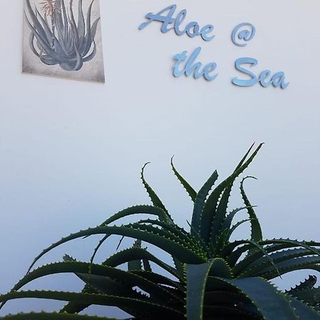 Apartament Aloe @ The Sea Mossel Bay Zewnętrze zdjęcie