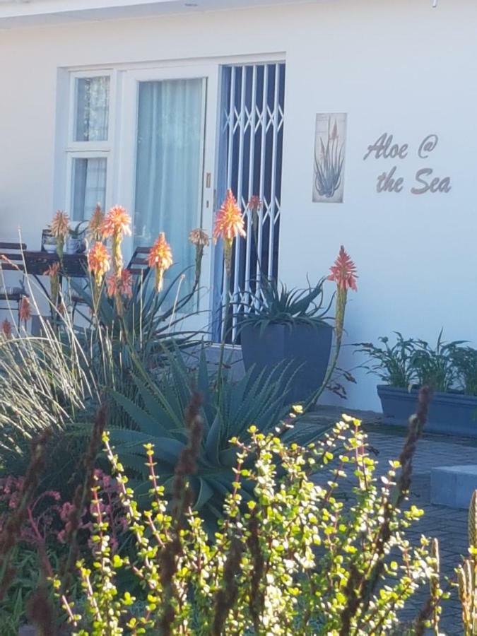 Apartament Aloe @ The Sea Mossel Bay Zewnętrze zdjęcie