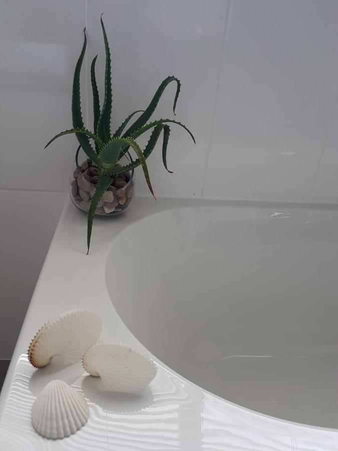 Apartament Aloe @ The Sea Mossel Bay Zewnętrze zdjęcie
