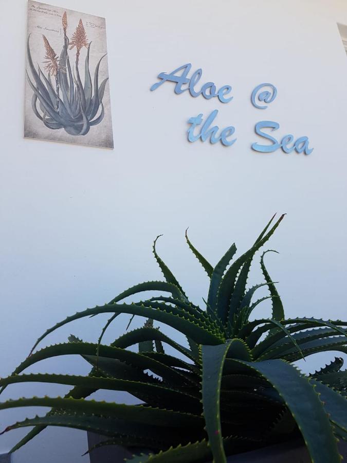 Apartament Aloe @ The Sea Mossel Bay Zewnętrze zdjęcie